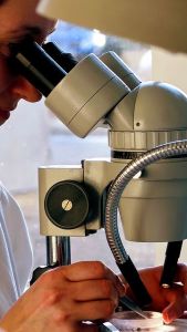 20180214164549_img_1318