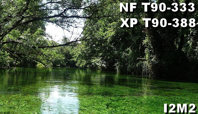 Nouvelle portée d’accréditation COFRAC selon la norme NF EN ISO/IEC 17025 :&nbsp;2017