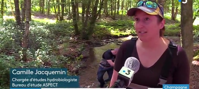 19/07/2021 – On parle de nous sur France 3 Champagne-Ardenne !